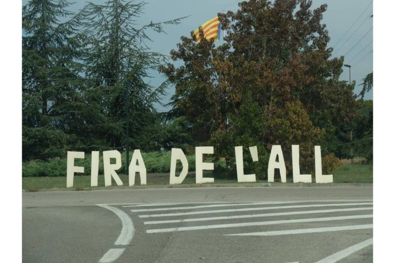 Entrevista a la autora del libro 'Tierra, frutos y un brindis', Sandra Llubiá Arnal Maristany