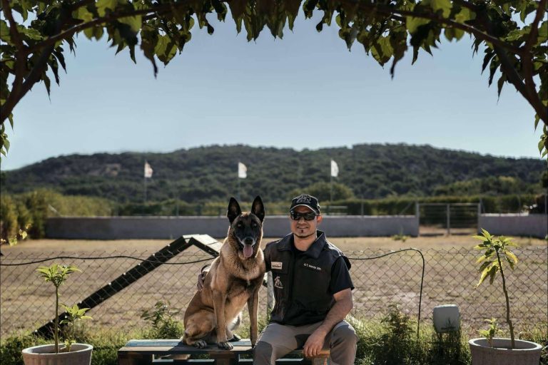 Monte Ida es una residencia con zonas de esparcimiento para perros