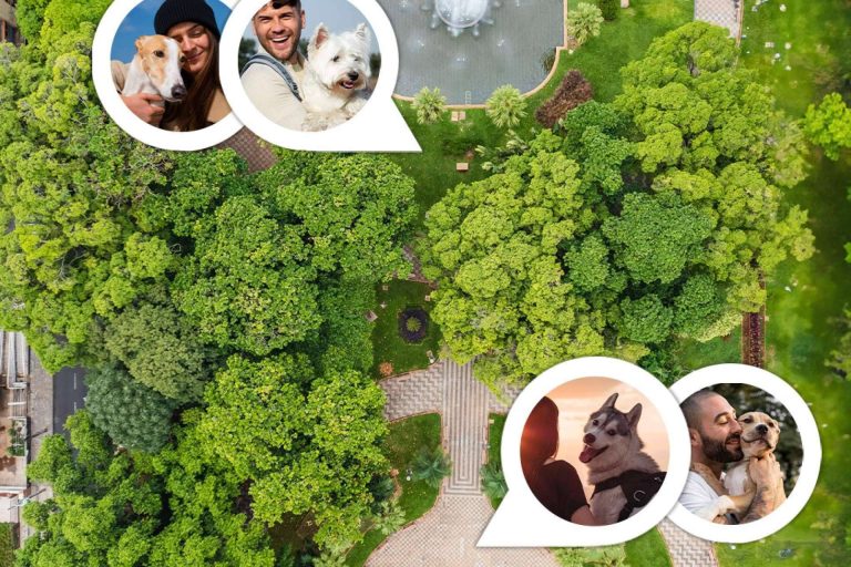 Nace Doguify, la aplicación que todo dog lover necesita en su móvil