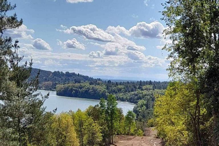 Parcelas Escobar dispone de parcelas con acceso exclusivo al Embalse Digua