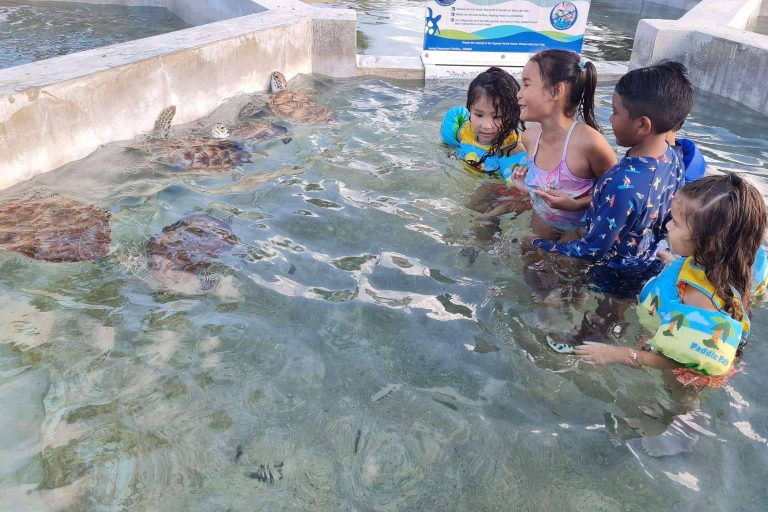 Contratar una excursión para Turtle Centre a través de la agencia Cayman Ocean Adventures