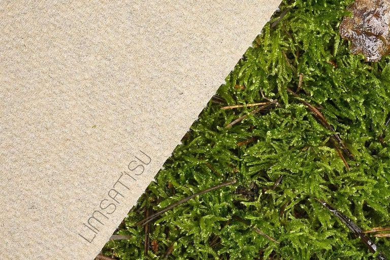 Múltiples expertos en el sector papelero en la empresa Limsatisu