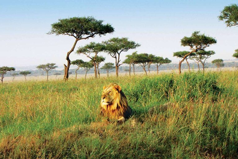 Realizar un gran viaje por África desde Barcelona con el buque Seabourn