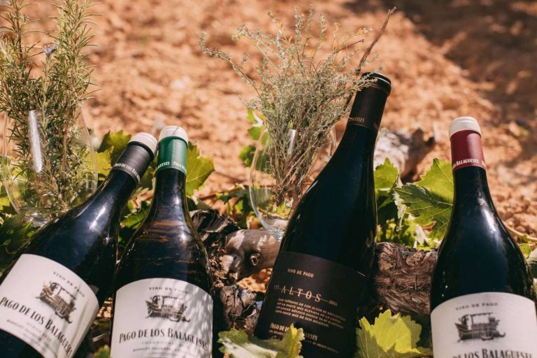 Con calidad exquisita, el vino de pago ecológico de Vegalfaro con calidad exquisita Pago de los Balagueses