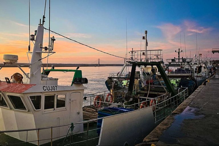Venta de pescado y marisco fresco a toda España con Lonja de Ayamonte