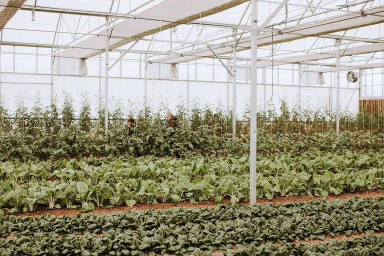 La Huerta de Hualdo; agricooltura sostenible y ecológica