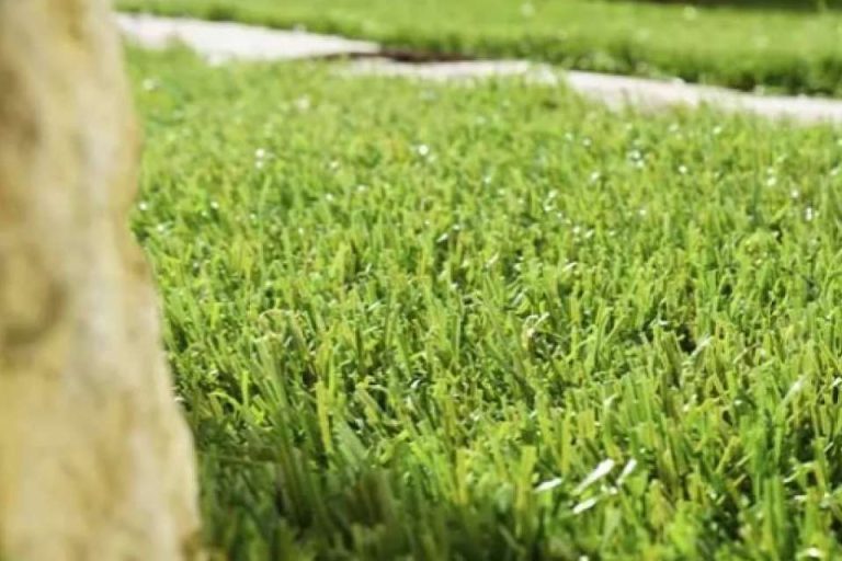 Preparación del terreno para instalar césped artificial