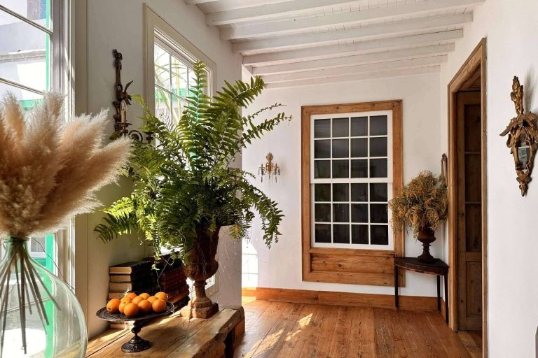 La Casa de los Naranjos tiene la calificación oficial del Gobierno de Canarias de 'Hotel Emblemático'