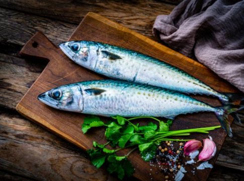 La caballa: un pescado azul sorprendente La caballa: un pescado azul sorprendente