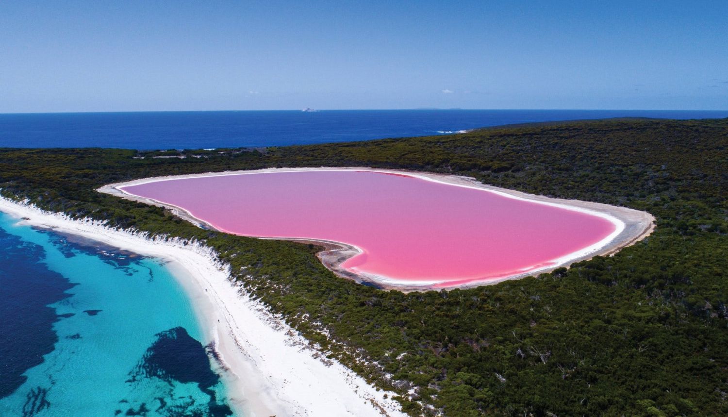 EL IMPACTO DE LOS MICRORGANISMOS EN ECOSISTEMAS EXTREMOS