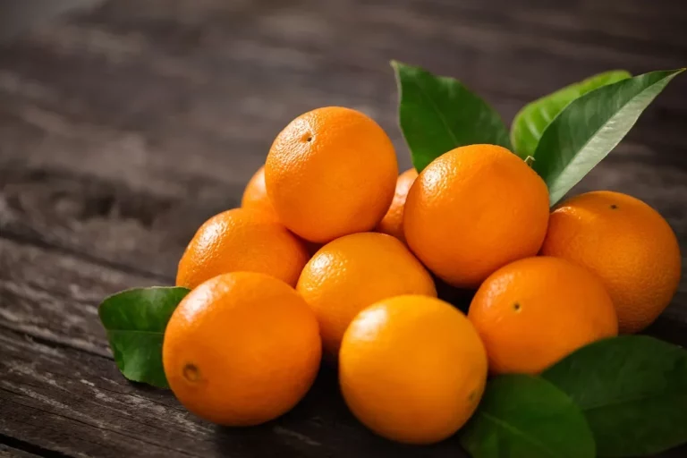 El poder oculto en las frutas cítricas: cómo las naranjas y los limones protegen tu salud pulmonar sin que lo sepas