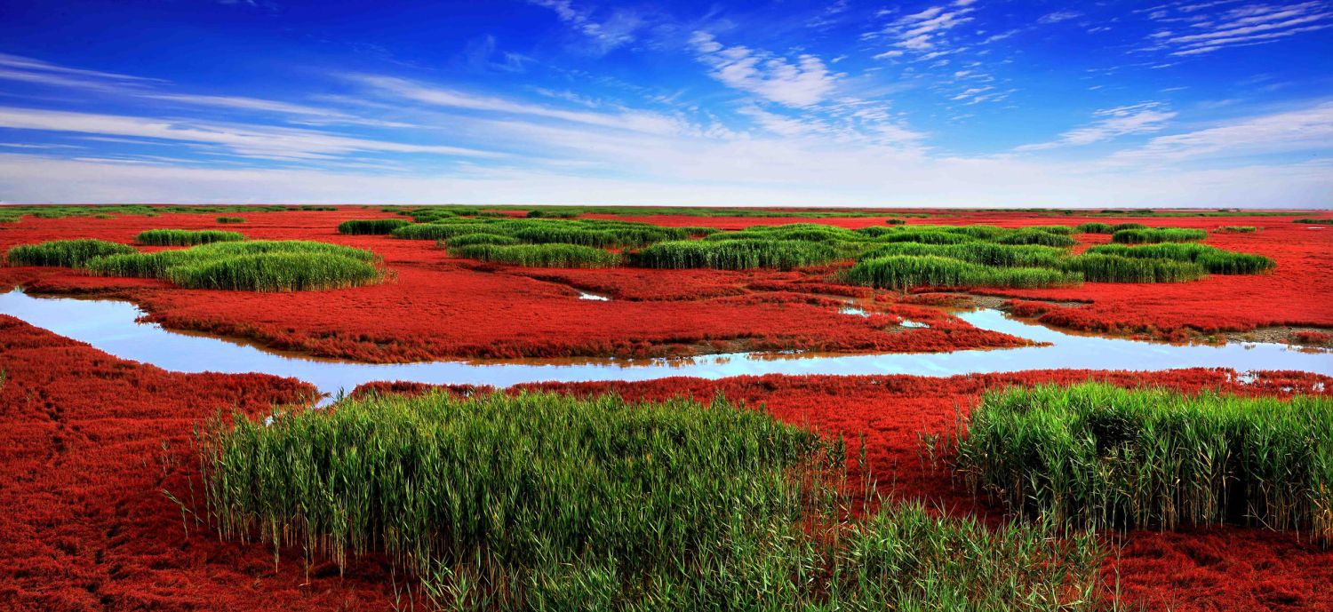Esta alucinante playa roja parece de otro planeta, pero está en China y cumple una función clave 2 ENTRE EL TURISMO Y LA CONSERVACIÓN