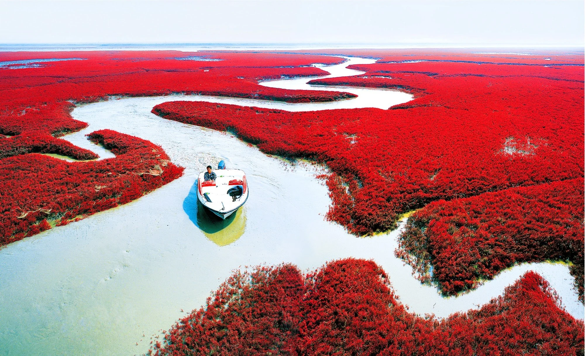 Esta alucinante playa roja parece de otro planeta, pero está en China y cumple una función clave 1 UN MOSAICO NATURAL DE COLOR ESCARLATA