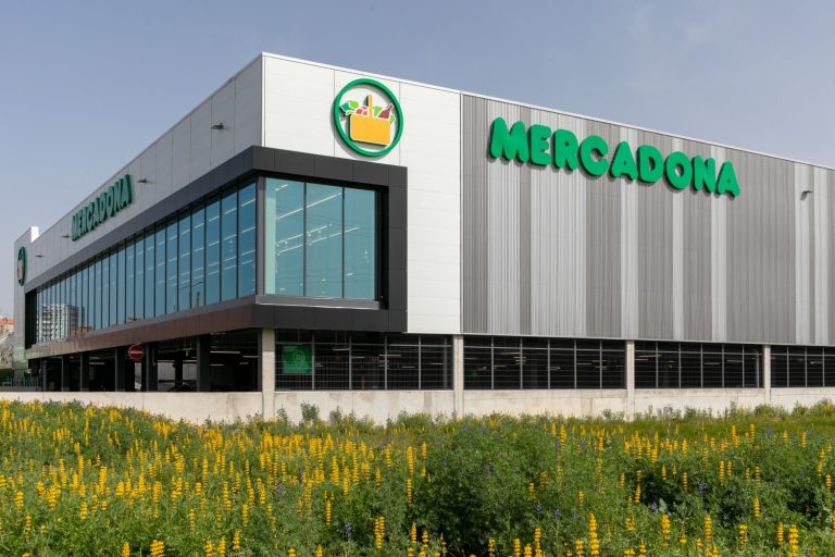 La OCU señala como el mejor a un producto preparado de Mercadona