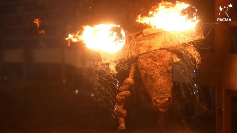 PACMA formaliza la demanda contra el Toro Júbilo de Medinaceli (Soria)