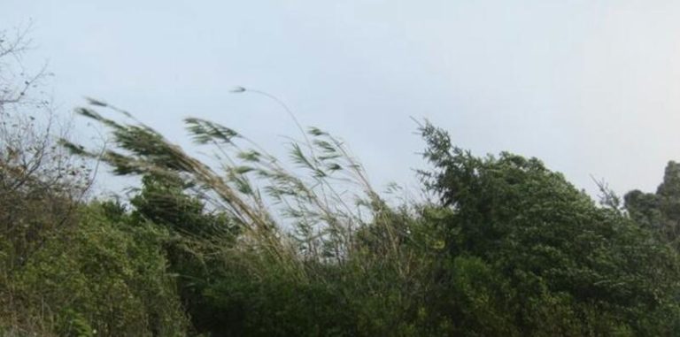 El tiempo de hoy: 7 comunidades autónomas activan avisos este miércoles 28 de febrero