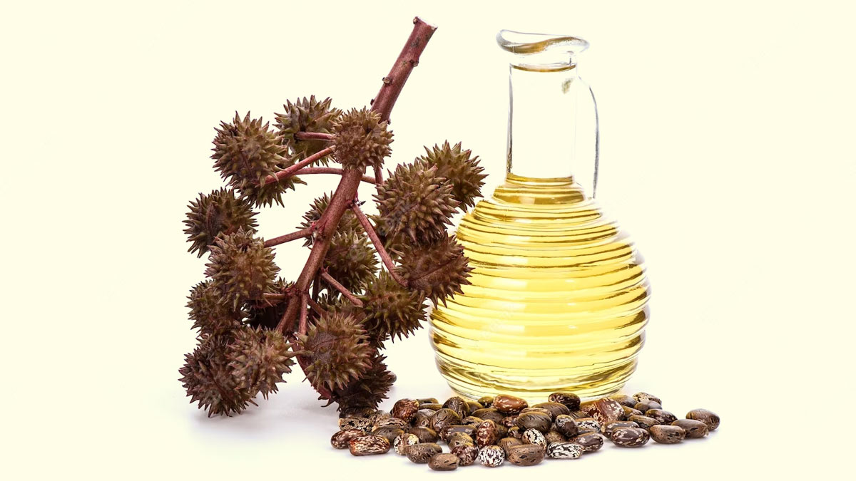 LA CIENCIA DETRÁS DEL ACEITE DE RICINO NEGRO