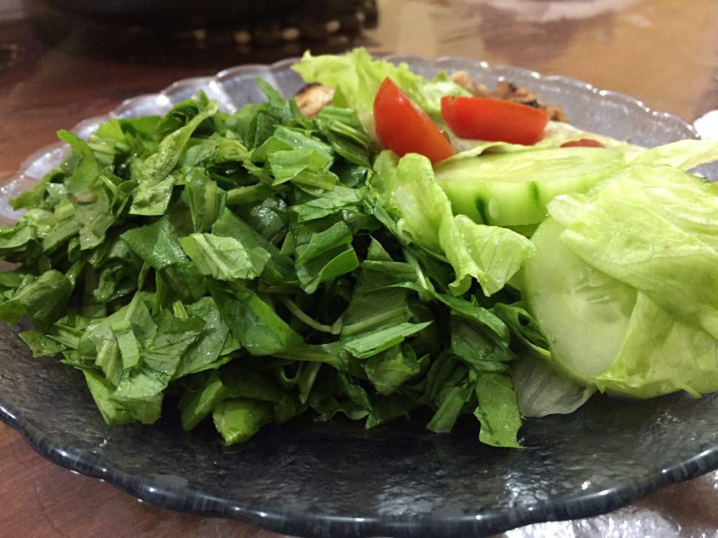 EL RENACIMIENTO DE UN REMEDIO ANTIGUO: LOS BENEFICIOS PARA LA SALUD DIGESTIVA