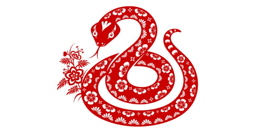 Serpiente