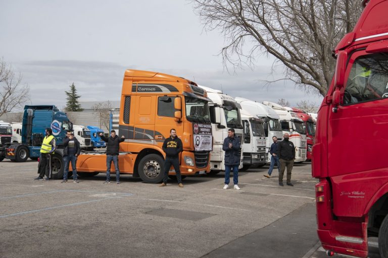 Los transportistas tendrán que trabajar de noche por el nuevo reglamento de transporte de animales vivos