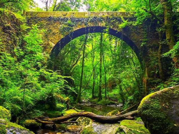 Explorando las Fragas do Eume: Un tesoro natural en Galicia