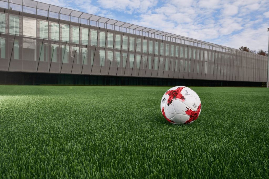 La grandeza en el deporte y más allá