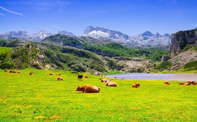 Las mejores casas rurales para disfrutar de la naturaleza en el norte de España, Asturias