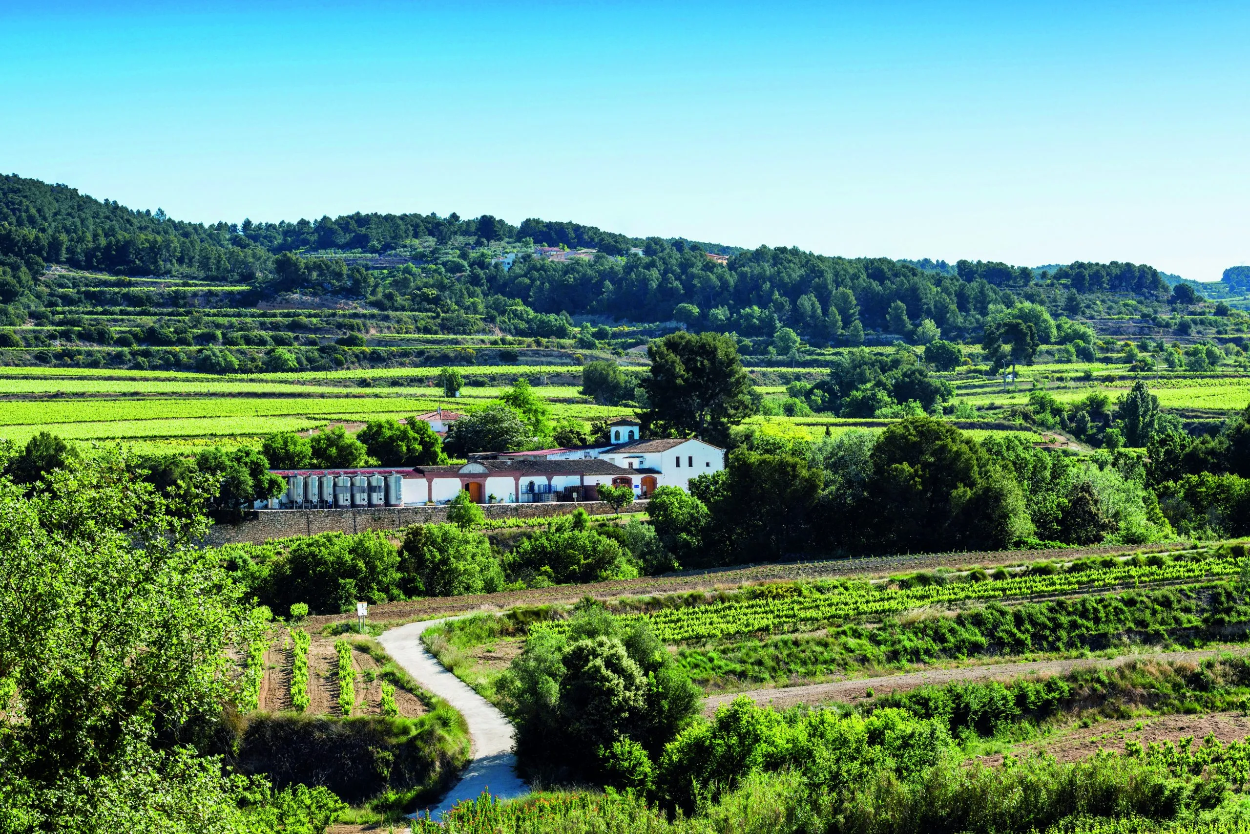 PRIORAT Y PENEDES: TRADICIÓN Y MODERNIDAD CATALANA