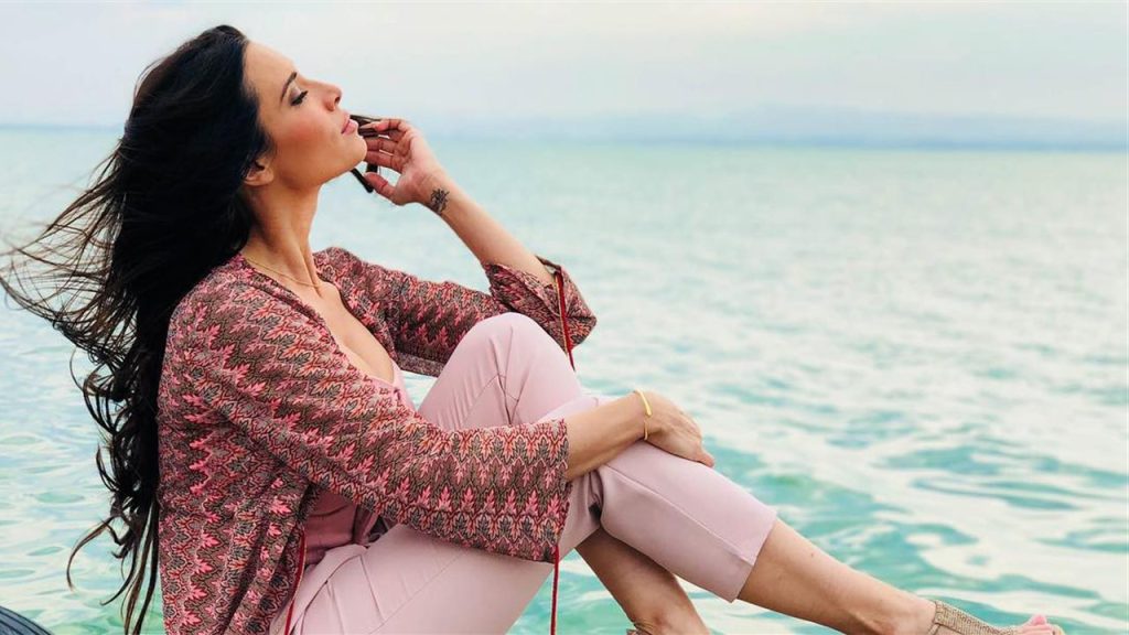 LOS IMPRESCINDIBLES DE LA DIETA PROTEICA