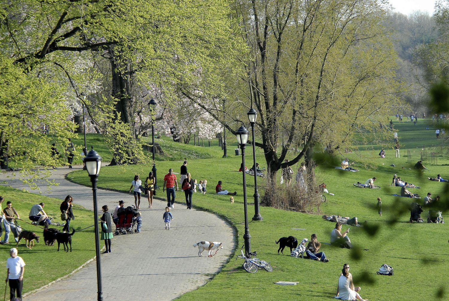 ¡No todo es Central Park! Estos parques de Nueva York guardan un encanto especial 3 PARQUES PARA LA MEDITACIÓN Y LA REFLEXIÓN: PARQUES COMO MOTOR DE LA COMUNIDAD