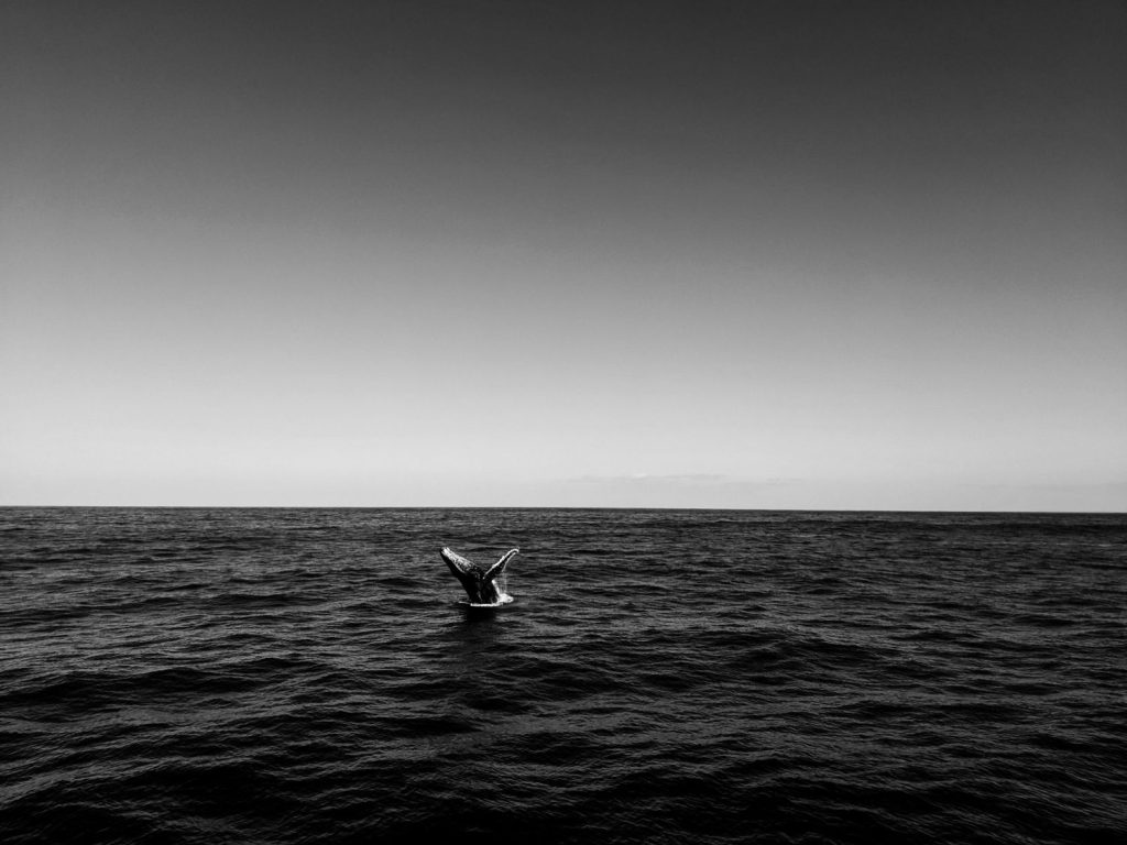 Los dos únicos países que se salvarían de una guerra nuclear