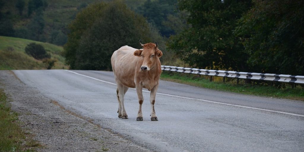 Combatir el problema desde todos los frentes