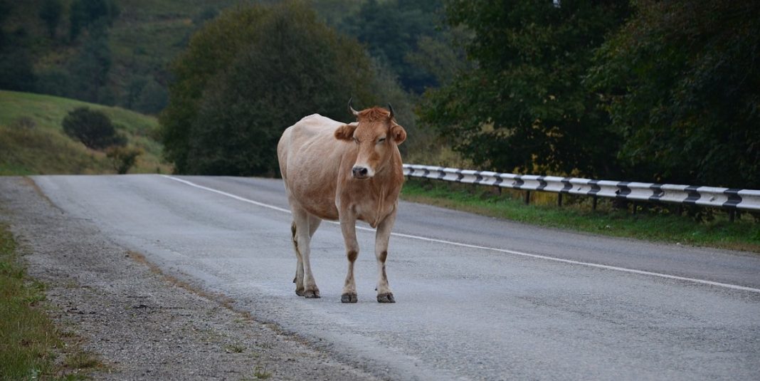 Combatir el problema desde todos los frentes