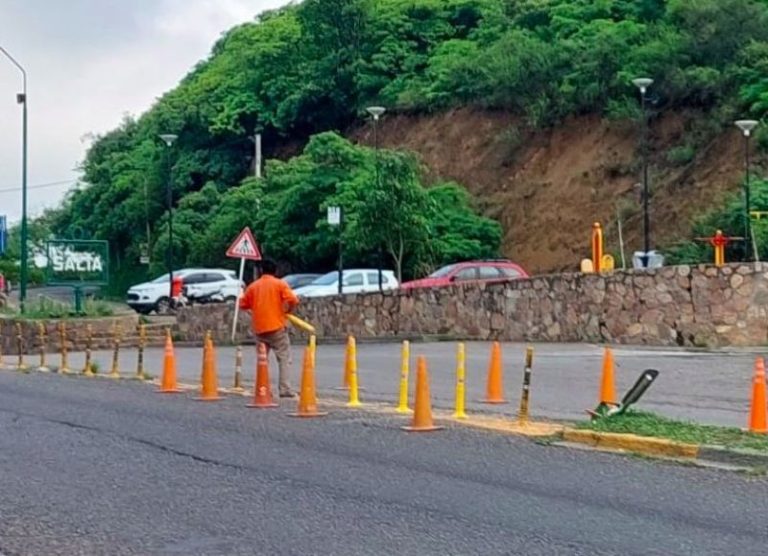 ¿Qué son estas cosas verdes que están poniendo al lado de las carreteras de España?