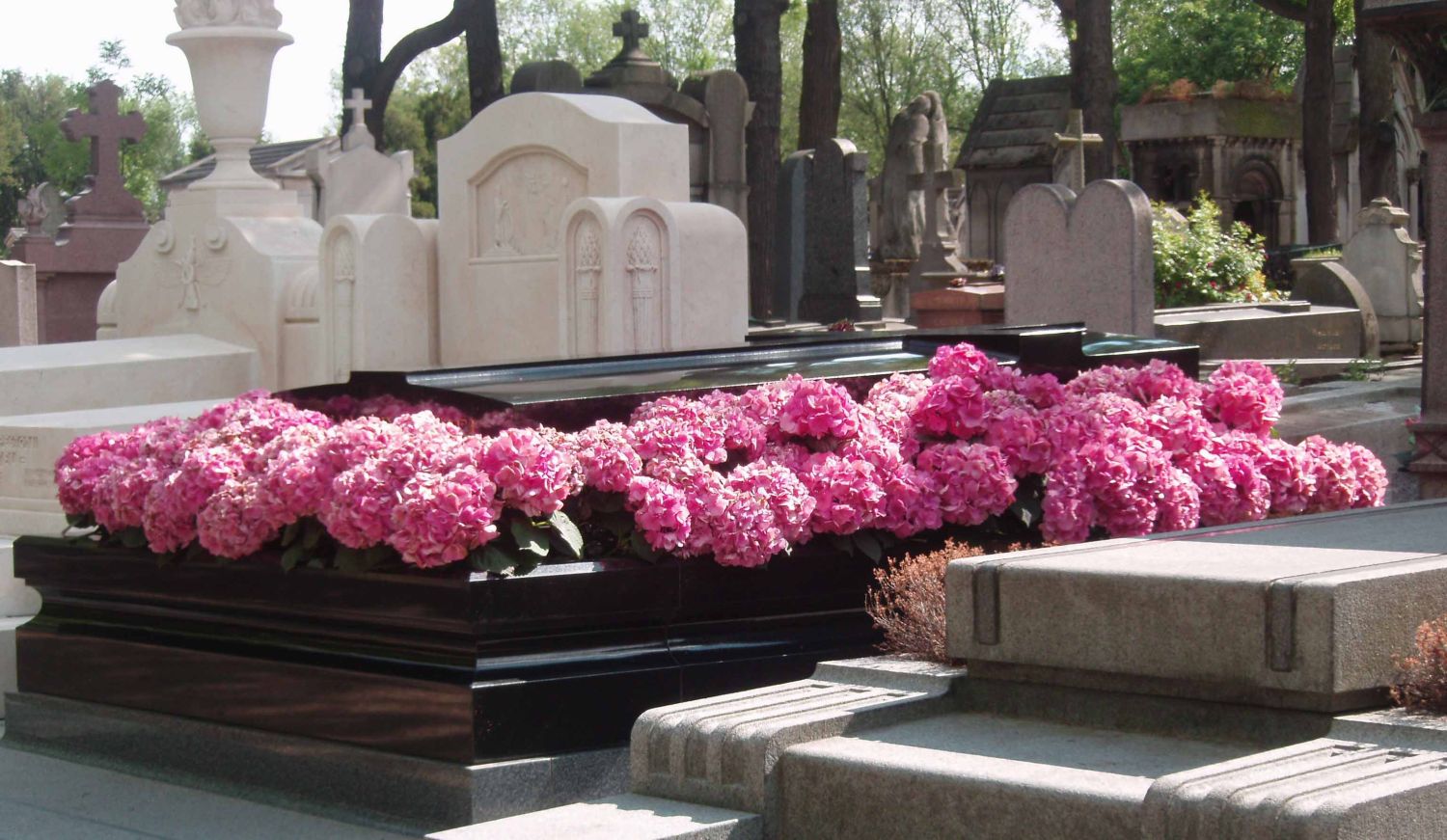 LA COIMETROFOBIA EN EL ENTORNO CULTURAL Y RELIGIOSO