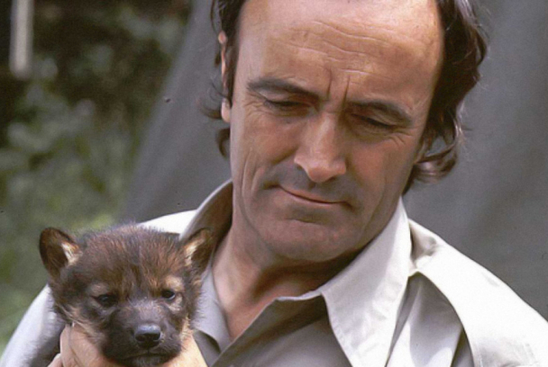 El 'Hombre y la tierra': La leyenda de Félix Rodríguez de la Fuente 3 el hombre y la tierra 78239