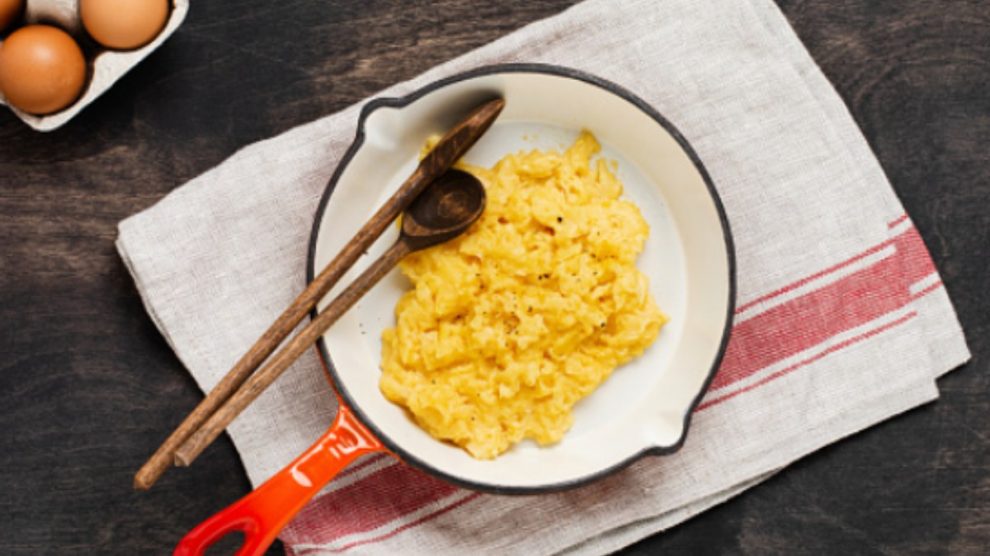 Excelente fuente concentrada de proteínas y aminoácidos esenciales