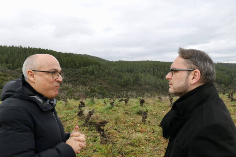 Agustín Trapero, Mejor Sumiller Español del Año 2023, recorre los viñedos del Bierzo con Gancedo