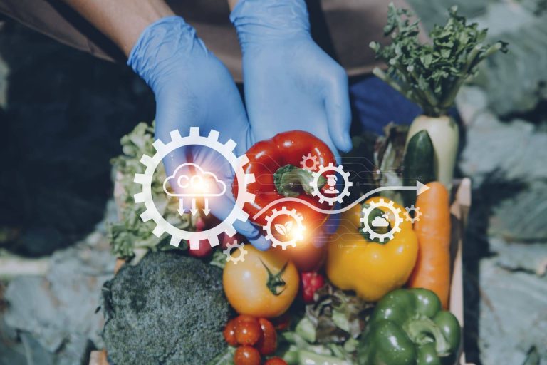 Ingredientes locales; la clave de una alimentación saludable