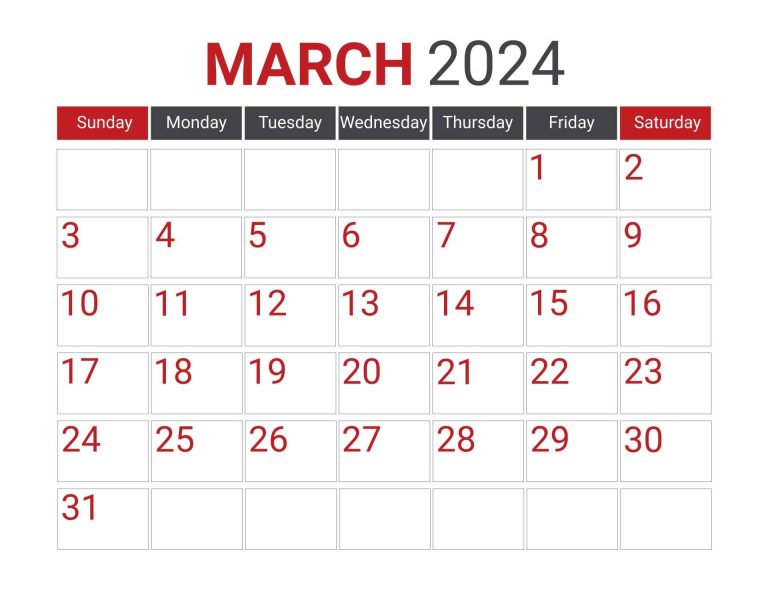 50 % de descuento en todos los planes del programa de contabilidad Cuenta Lógica Visual, solo durante marzo del 2024