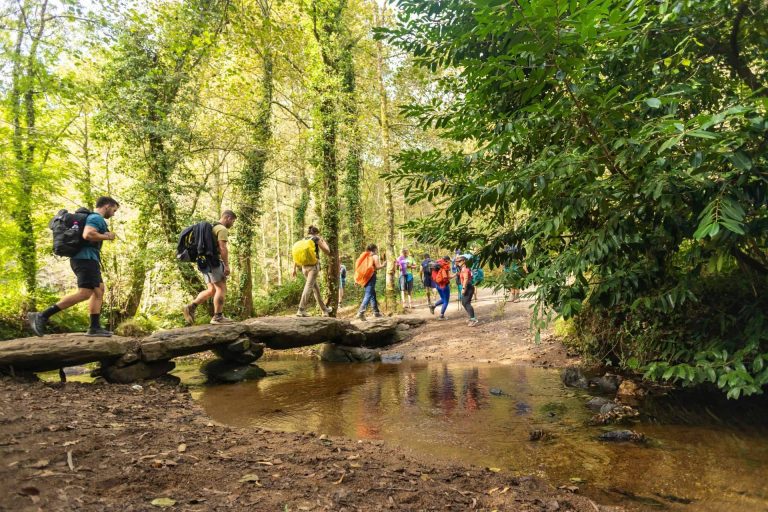 Animatium una de las empresas a contratar para producción de eventos