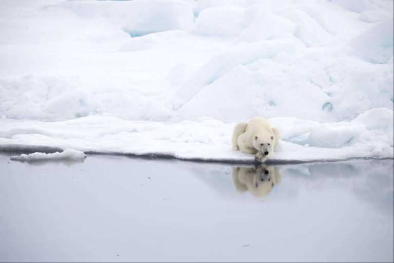 Le Commandant Charcot, el primer rompehielos en llegar al Ártico