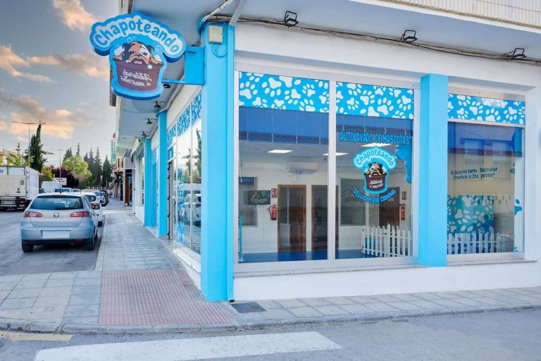 Las ventajas de las franquicias de peluquería canina de Chapoteando