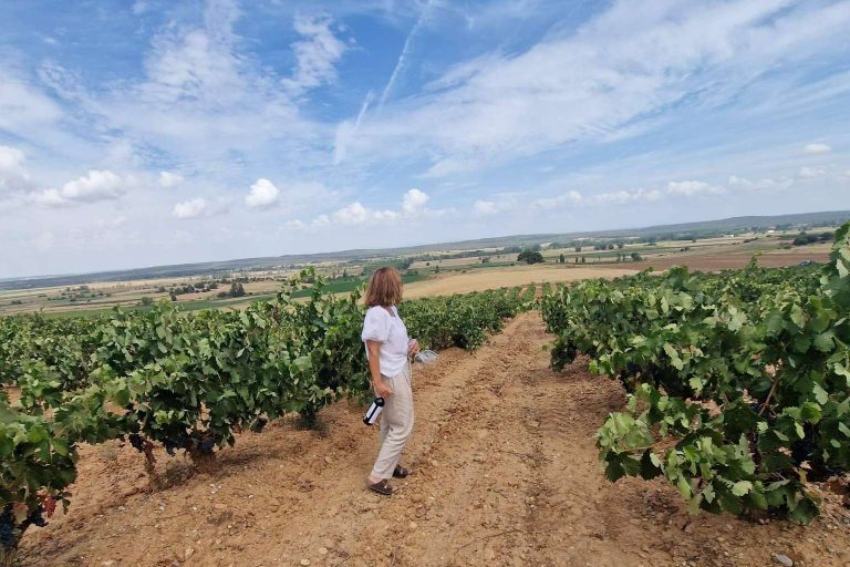 Celebrar eventos privados con una escapada rural a la Ribera del Duero, en La Ren Lecrés