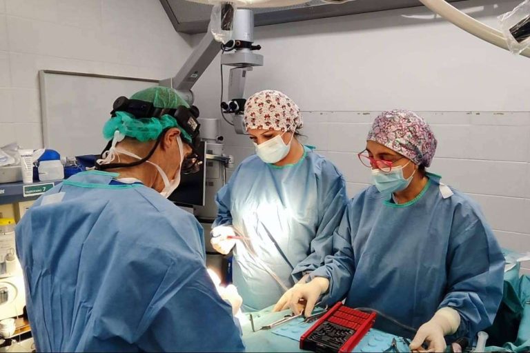 Cirugía estética facial en la Clínica Birbe