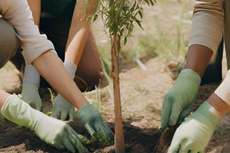Apostando por una calefacción más económica, con Mipelletymas.com