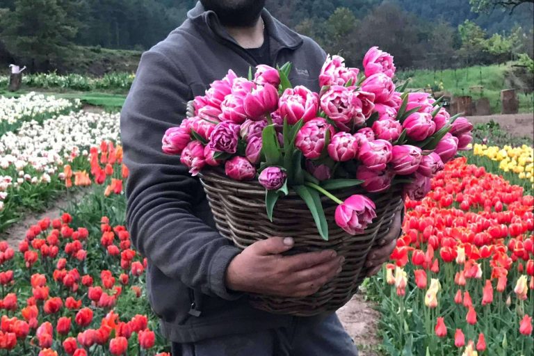 Una boda en Barcelona original rodeada de mil flores