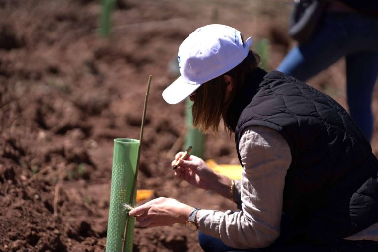 Mujeres y ciencias naturales en CO2 GESTIÓN