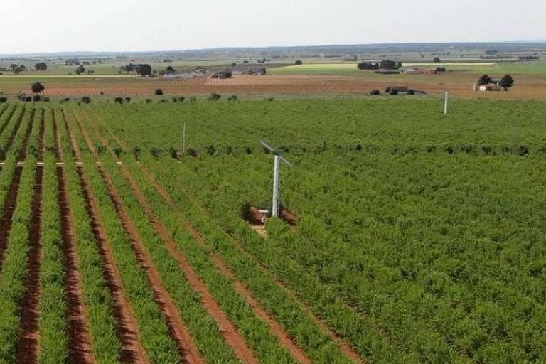 Una de las mejores soluciones para combatir las heladas la tiene una empresa española