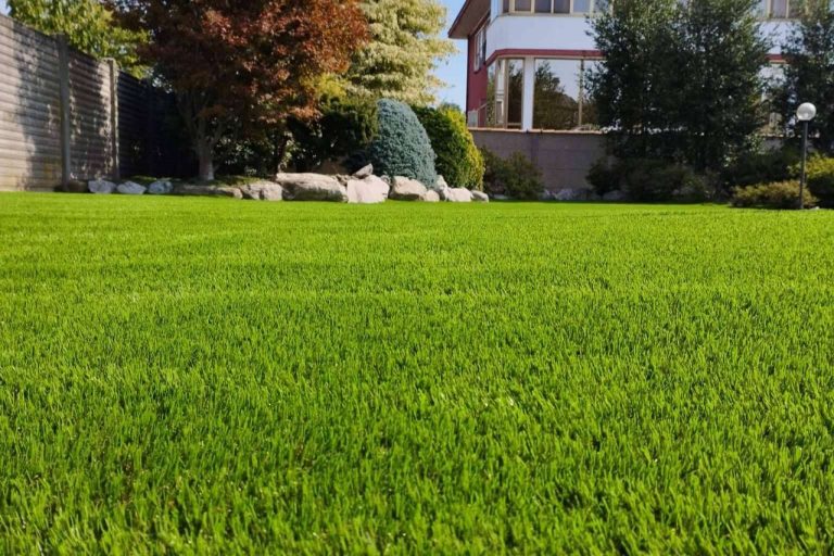 Albergrass brinda una extensa variedad de modelos de césped artificial de procedencia 100 % española